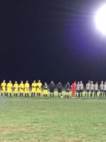 Soccer 2018 – Effingham St. Anthony Regional champs-9